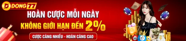 dong77 com