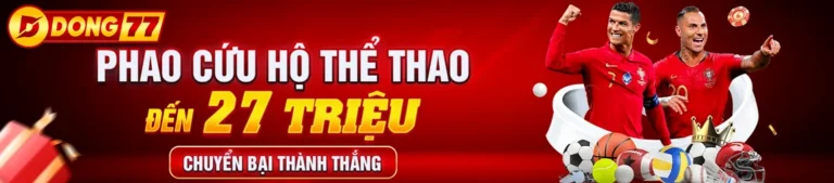 dong77 com